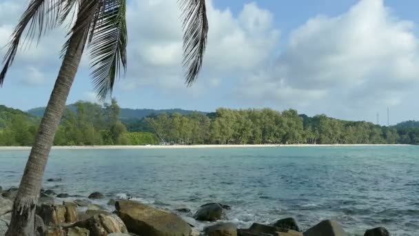 Palmiye Ağacı Mavi Gökyüzü Olan Tropik Plaj — Stok video