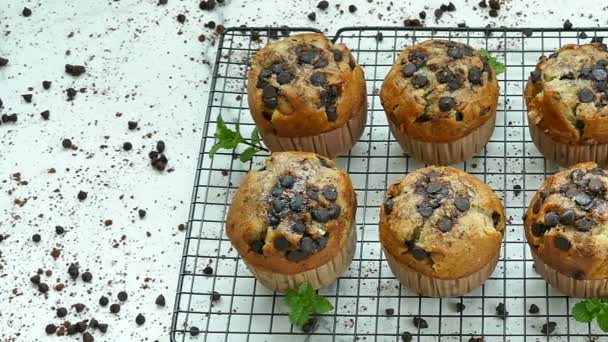 Deliciosos Muffins Caseiros Com Gotas Chocolate Grade Metal — Vídeo de Stock