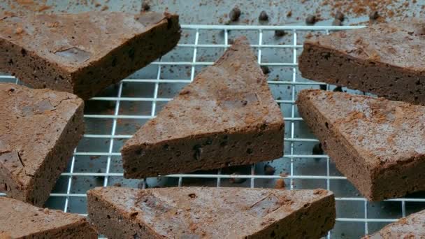 Läckra Choklad Brownie Tårtor Metallgaller — Stockvideo