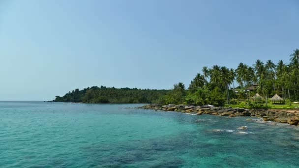 Spiaggia Tropicale Con Palme Onde Blu Dell Oceano — Video Stock