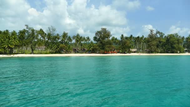 plage tropicale avec palmiers et vagues bleu océan 