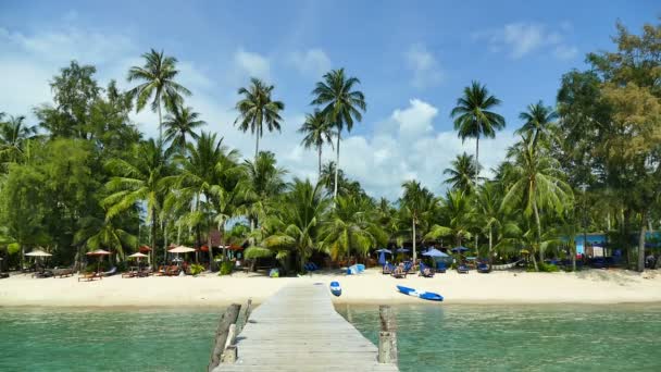 Playa Tropical Con Palmeras Puente Madera — Vídeos de Stock