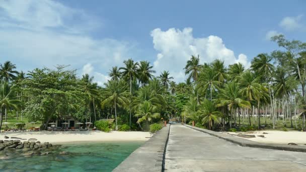 Palmiye Ağaçları Ahşap Köprü Ile Tropikal Plaj — Stok video