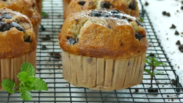 Läckra Hembakade Muffins Med Choklad Droppar Metallgaller — Stockvideo