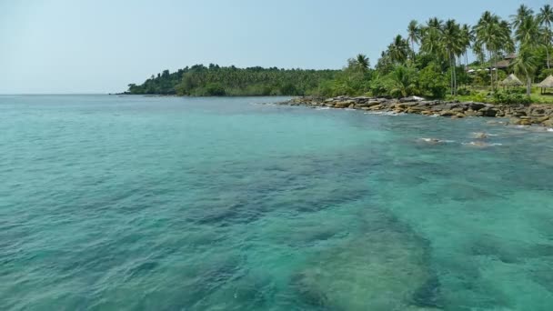 Palmiye Ağaçları Mavi Okyanus Dalgaları Ile Tropikal Plaj — Stok video