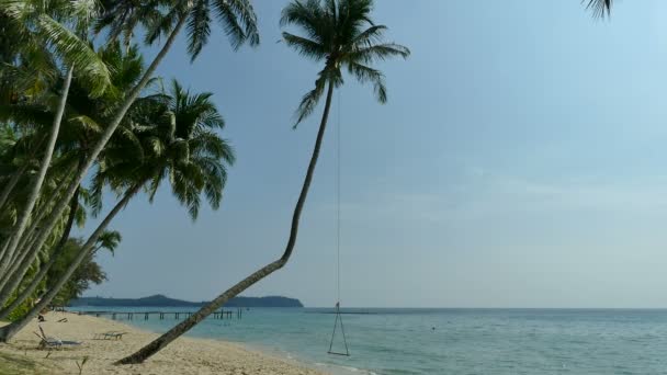 Tropisch Strand Met Palmbomen Blauwe Oceaan Golven — Stockvideo