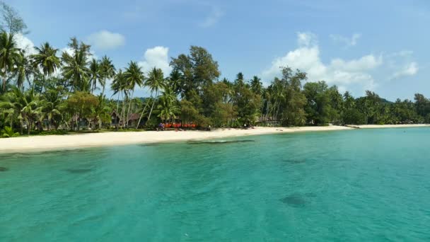 Tropischer Strand Mit Palmen Und Blauen Meereswellen — Stockvideo