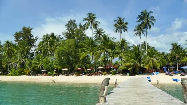 Playa Tropical Con Palmeras Muelle Madera — Vídeos de Stock