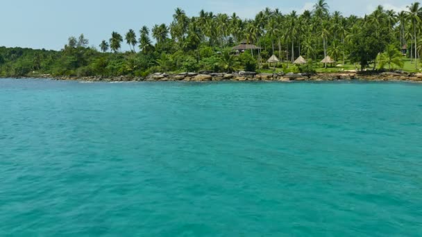 Tropikalnej Plaży Palmami Fale Niebieski Ocean — Wideo stockowe