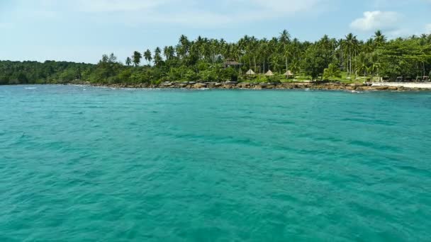 Tropisch Strand Met Palmbomen Blauwe Oceaan Golven — Stockvideo