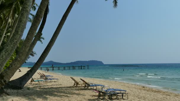 Playa Tropical Con Palmeras Olas Azules Del Océano — Vídeos de Stock