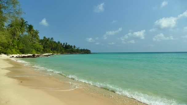 Tropischer Strand Mit Palmen Und Blauen Meereswellen — Stockvideo
