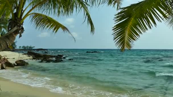 Playa Tropical Con Palmeras Olas Azules Del Océano — Vídeos de Stock