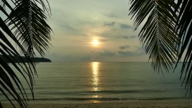 dalgalar deniz, palmiye ağaçları ve dramatik gökyüzü günbatımı görünümünü