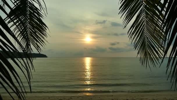 Vista Atardecer Olas Marinas Palmeras Cielo Dramático — Vídeos de Stock