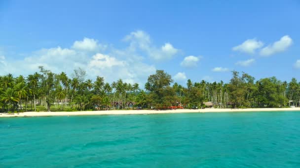 Tropisch Strand Met Palmbomen Blauwe Oceaan Golven — Stockvideo