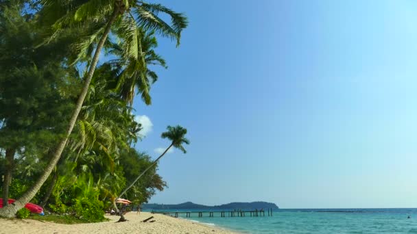 Tropikalnej Plaży Palmami Fale Niebieski Ocean — Wideo stockowe