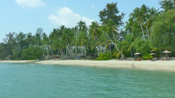 Tropisch Strand Met Palmbomen Blauwe Oceaan Golven — Stockvideo