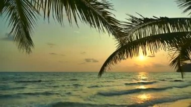 dalgalar deniz, palmiye ağaçları ve dramatik gökyüzü günbatımı görünümünü