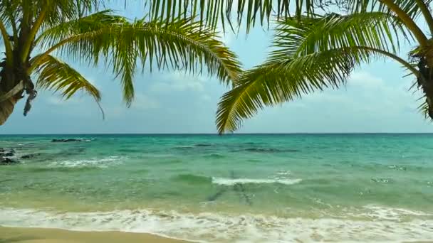 Bellissimo Paesaggio Marino Con Palme Onde Blu Dell Oceano — Video Stock