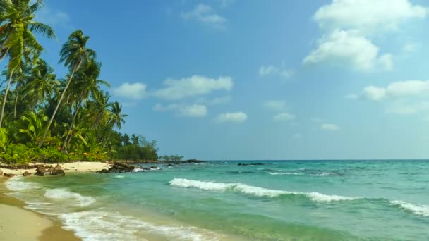 Tropisch Strand Met Palmbomen Blauwe Oceaan Golven — Stockvideo