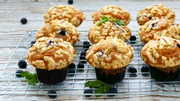 Deliziosi Muffin Fatti Casa Con Mirtilli Sulla Griglia Metallica — Video Stock