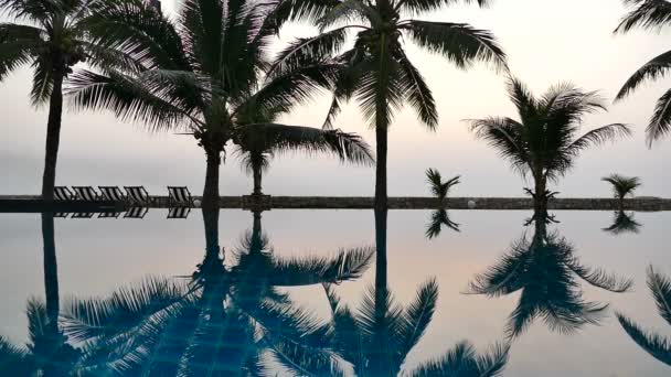 Sonnenuntergang Blick Auf Das Schwimmbad Mit Palmen — Stockvideo