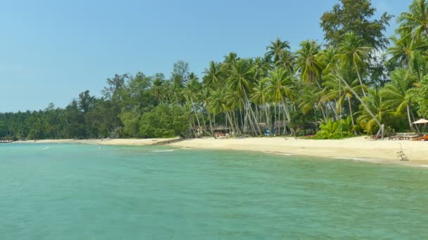 Tropisch Strand Met Palmbomen Blauwe Oceaan Golven — Stockvideo