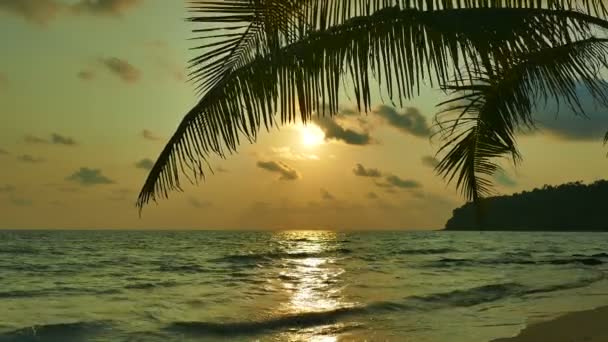 Vista Atardecer Olas Marinas Palmeras Cielo Dramático — Vídeos de Stock