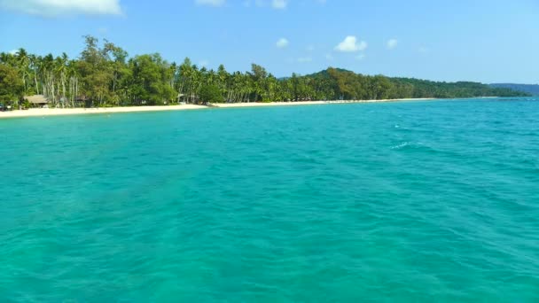 ヤシの木と青い海の波熱帯ビーチ — ストック動画