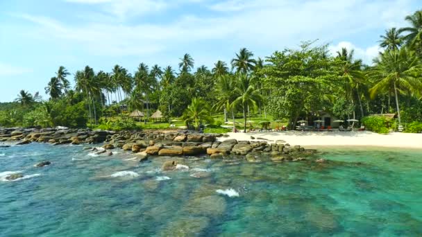Stenen Zanderige Strand Palm Bomen Actuele Paradijs — Stockvideo