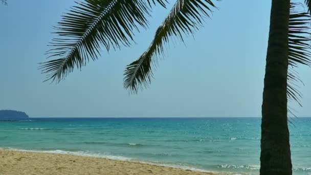Palmiye Ağacı Mavi Okyanus Dalgaları Ile Tropikal Plaj — Stok video