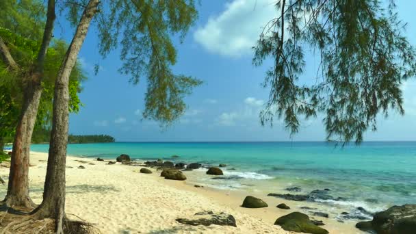 Tropisch Strand Met Palmbomen Blauwe Oceaan Golven — Stockvideo