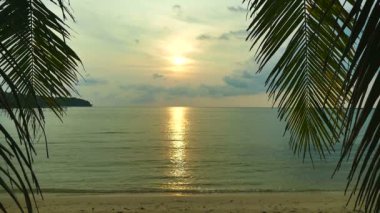 dalgalar deniz, palmiye ağaçları ve dramatik gökyüzü günbatımı görünümünü