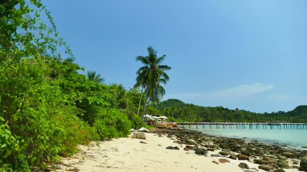 Tropikalnej Plaży Palmami Fale Niebieski Ocean — Wideo stockowe