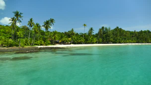 Tropical Beach Palm Trees Blue Ocean Waves — Stock Video