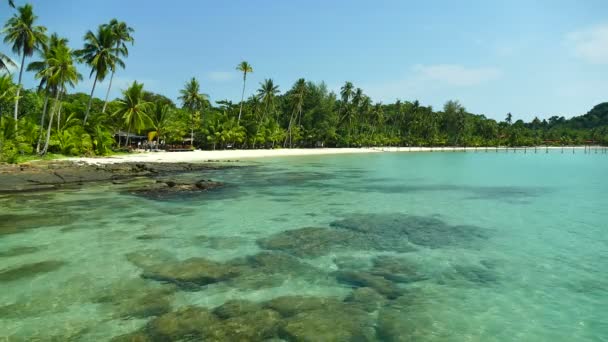 Tropisch Strand Met Palmbomen Blauwe Oceaan Golven — Stockvideo