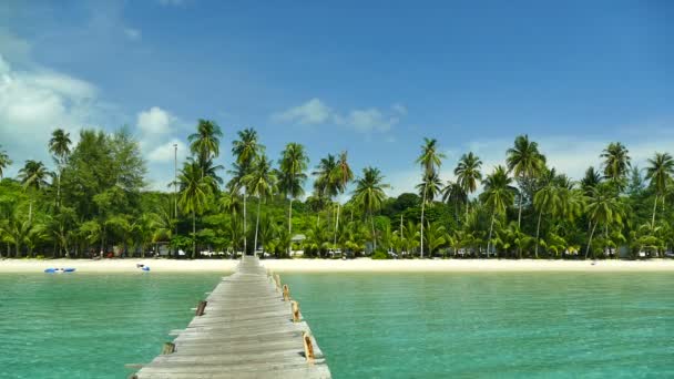 Spiaggia Tropicale Con Molo Legno Nella Giornata Sole — Video Stock