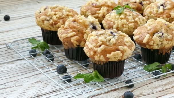 Deliziosi Muffin Fatti Casa Con Mirtilli Sulla Griglia Metallica — Video Stock