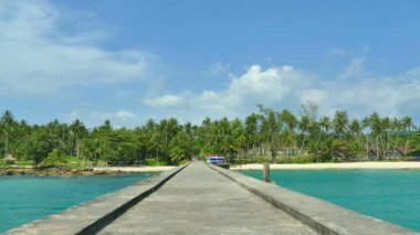 palmiye ağaçları ve ahşap iskele ile tropikal plaj 