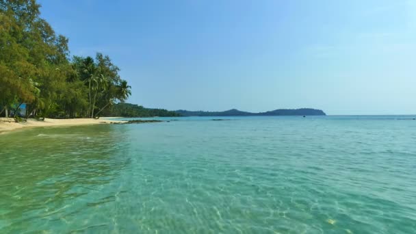 Tropisch Strand Met Palmbomen Blauwe Oceaan Golven — Stockvideo