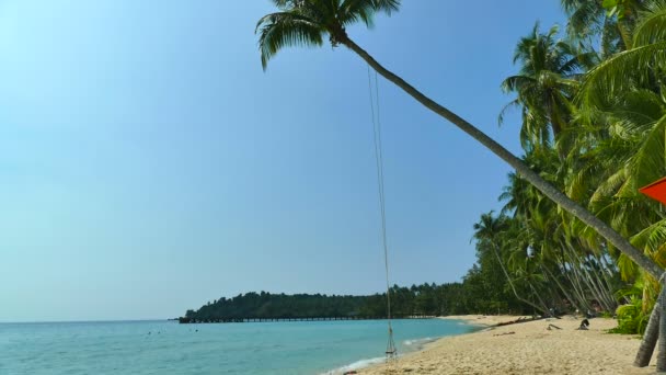 Tropischer Strand Mit Palmen Und Blauen Meereswellen — Stockvideo