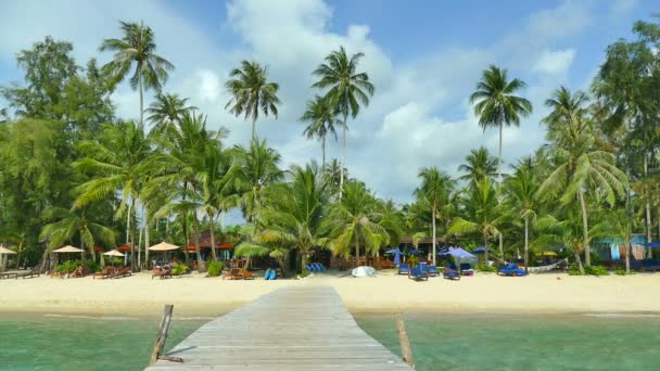 Тропический Пляж Пальмами Деревянным Пирсом — стоковое видео