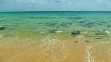 Deniz dalgaları, kumlu sahil ve mavi gökyüzü olan pitoresk bir marina.