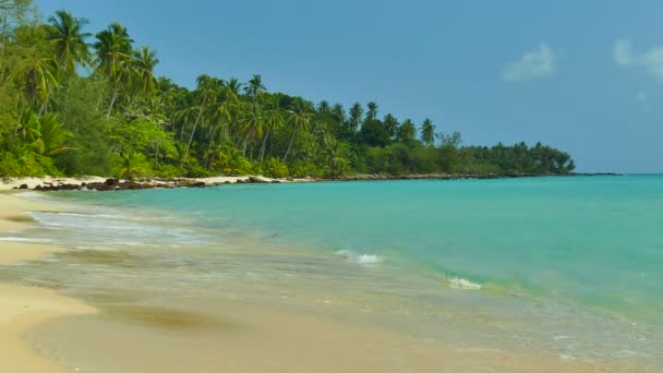 Tropisch Strand Met Palmbomen Blauwe Oceaan Golven — Stockvideo