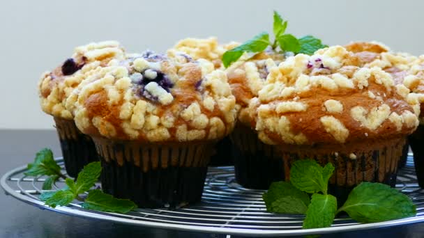 Leckere Hausgemachte Muffins Mit Blaubeeren Auf Metallgitter — Stockvideo