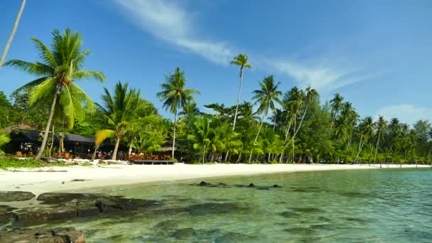 Tropisch Strand Met Palmbomen Blauwe Oceaan Golven — Stockvideo