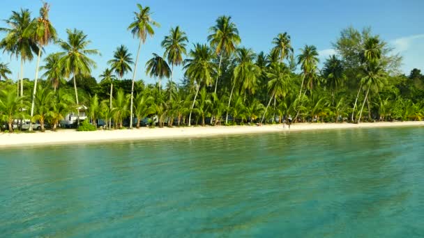 Tropikalnej Plaży Palmami Fale Niebieski Ocean — Wideo stockowe