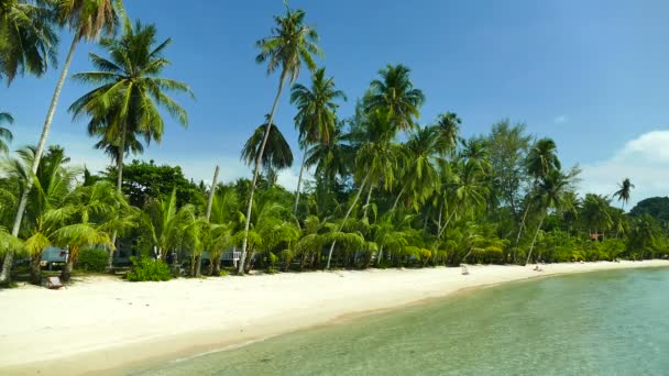 Tropisch Strand Met Palmbomen Blauwe Oceaan Golven — Stockvideo