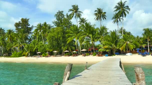 Playa Tropical Con Palmeras Muelle Madera — Vídeos de Stock